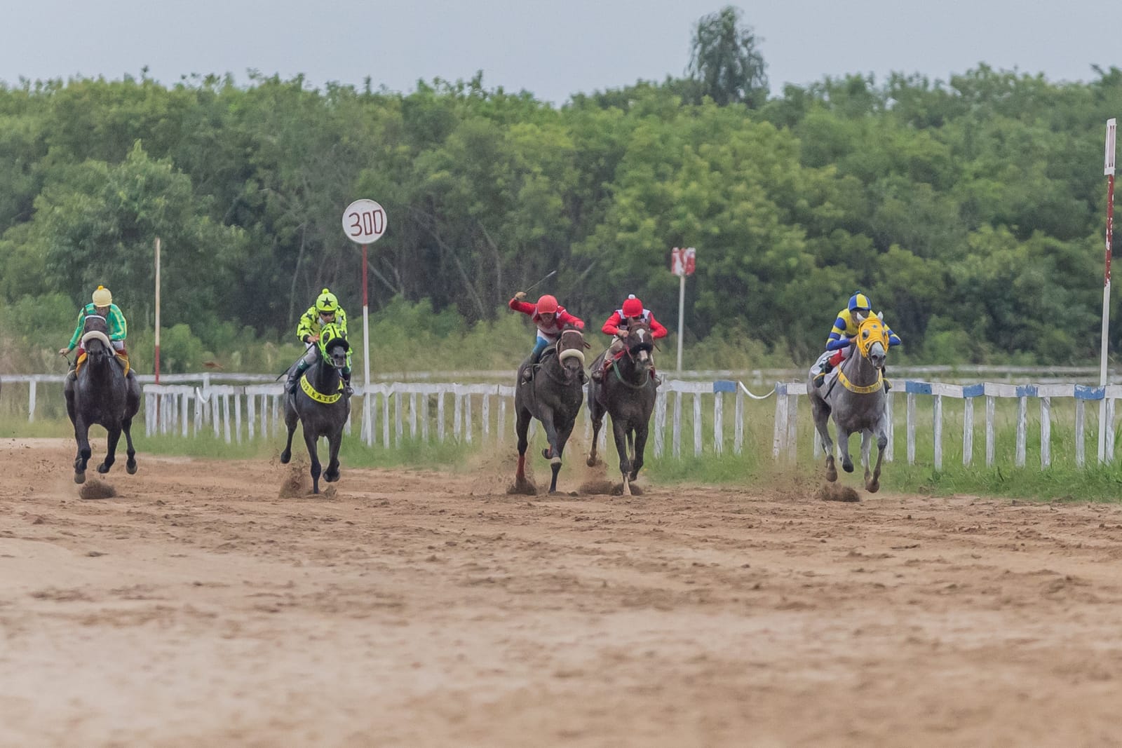 Seis cavalos e jóqueis aceleram lado a lado na reta de areia do Hipódromo da Tablada, perto da placa dos 300 metros
